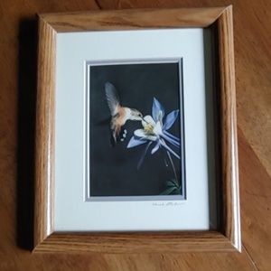 Claude Steelman Hummingbird print
